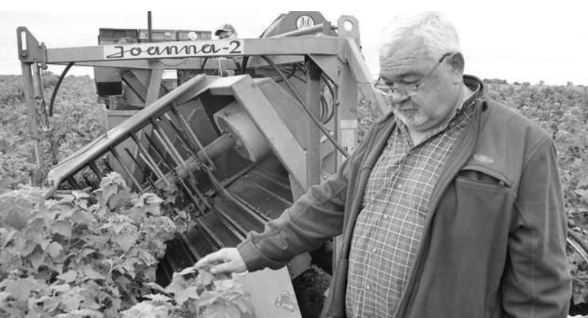 Nie żyje Roman Safader
