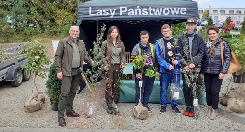 Nadleśnictwa rozdają sadzonki