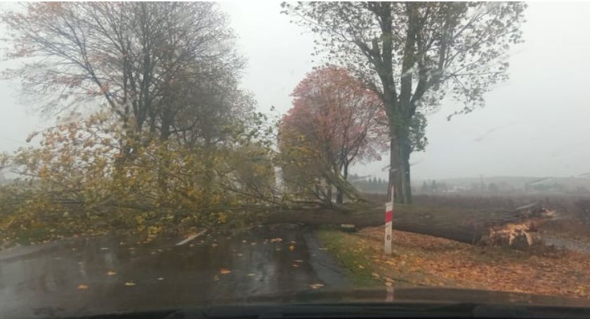 Wichury w powiecie złotowskim. Wiatr łamie drzewa