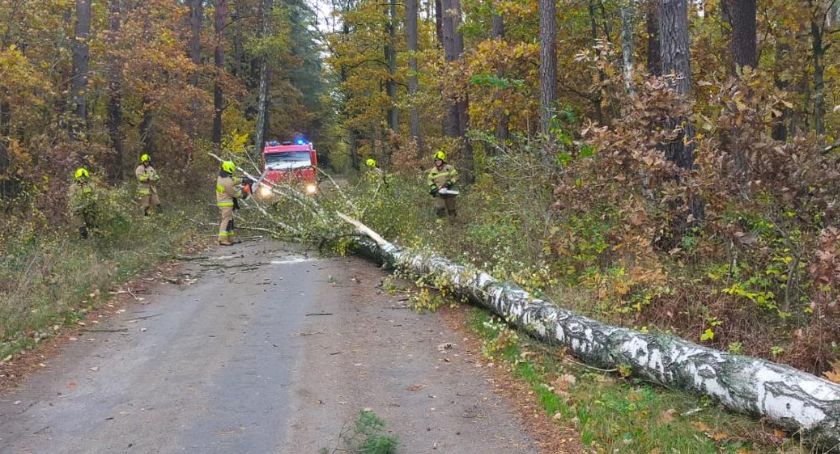 Strażackie interwencje związane z silnym wiatrem