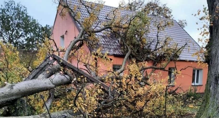 Drzewo runęło na budynek 