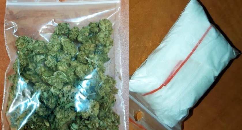 W Okonku pies nie dał szans 43-latkowi z narkotykami w domu