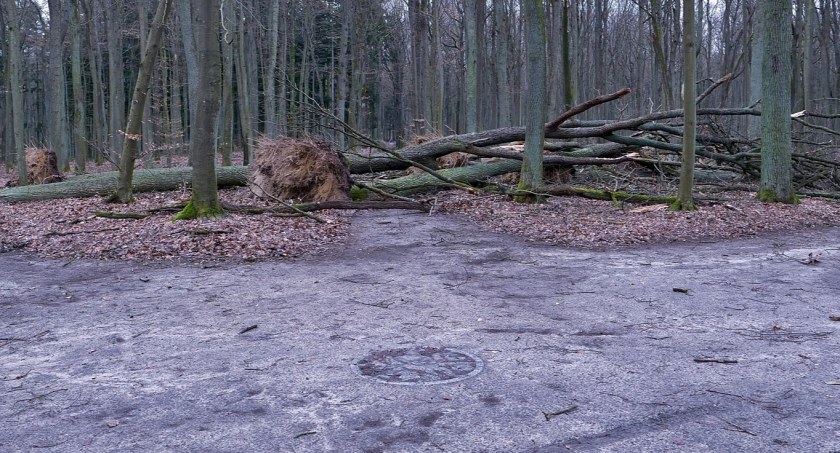 Złotowski Zwierzyniec po przejściach