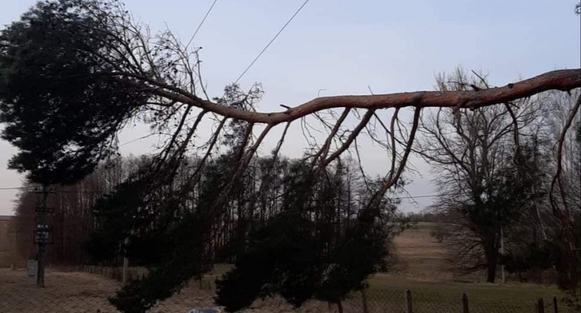 Zerwana linia energetyczna i pożar traw