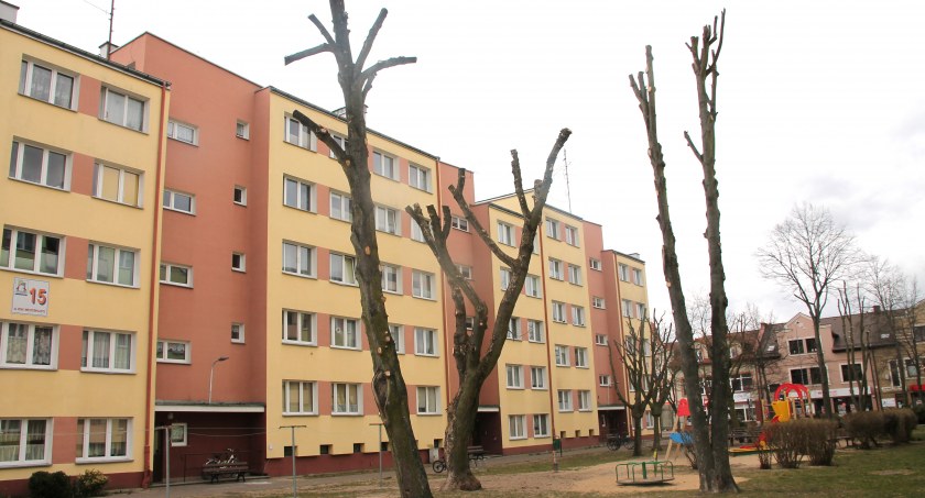 Gigantyczna kara dla SM PIAST za przycięcie drzew!