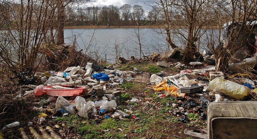 Chcą się dogadać w sprawie sprzątania nad Zaleskim