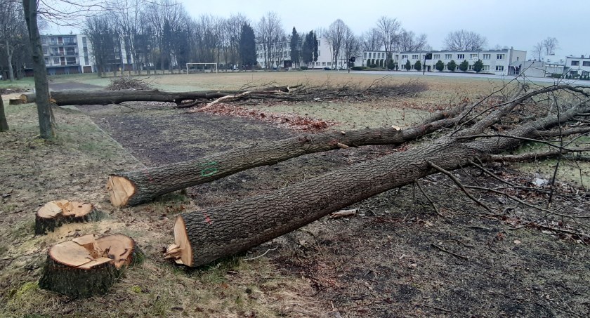 Tu gigantyczna kara, tu najpierw wyjaśnienia