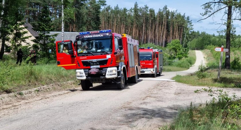 Pożar lasu w Pleceminie