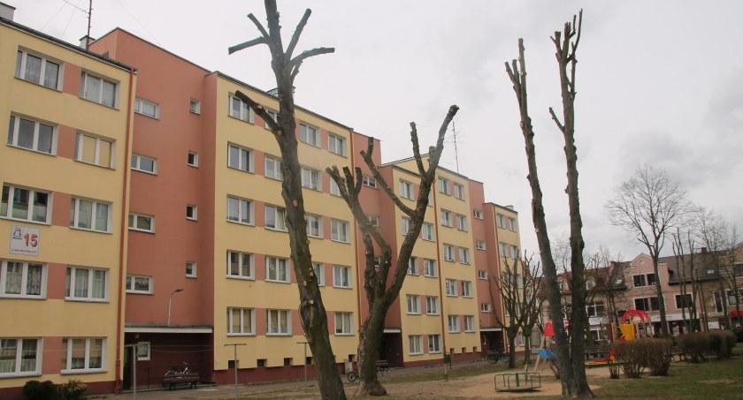 Decyzja o karze za przycięcie drzew do kosza