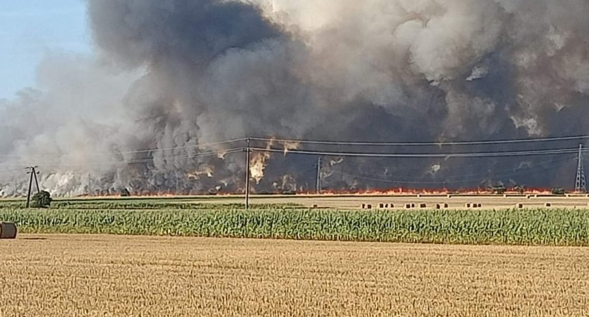Pożar widziany z kosmosu w Wielkopolsce