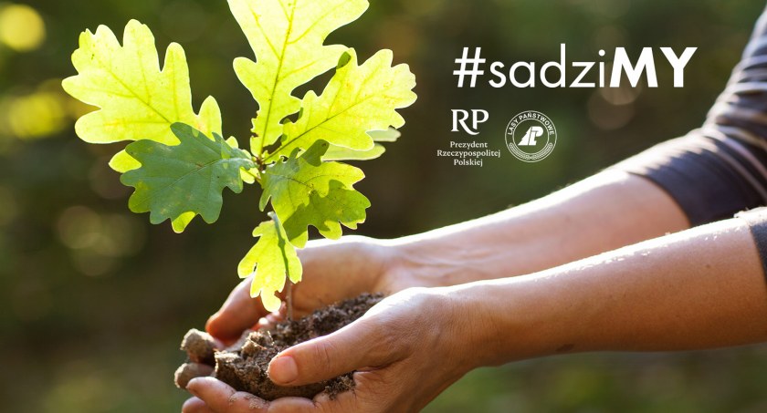 Nadleśnictwo zaprasza na akcję #sadziMY