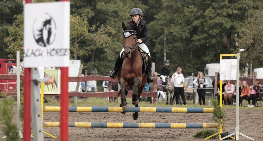 Zawody w skokach w Stajni Black Horse