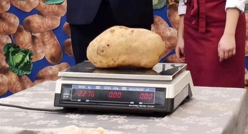 Oto największa wielkopolska pyra tego sezonu 