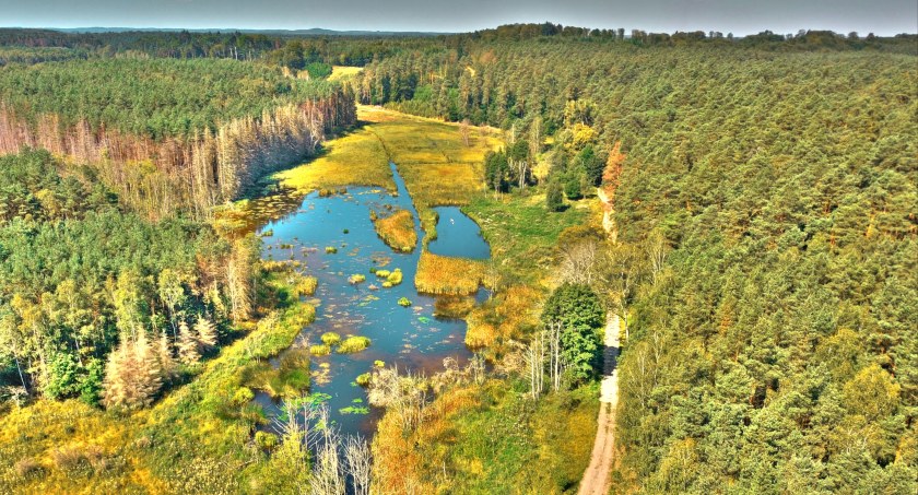 Woda, wpływ człowieka i mała retencja