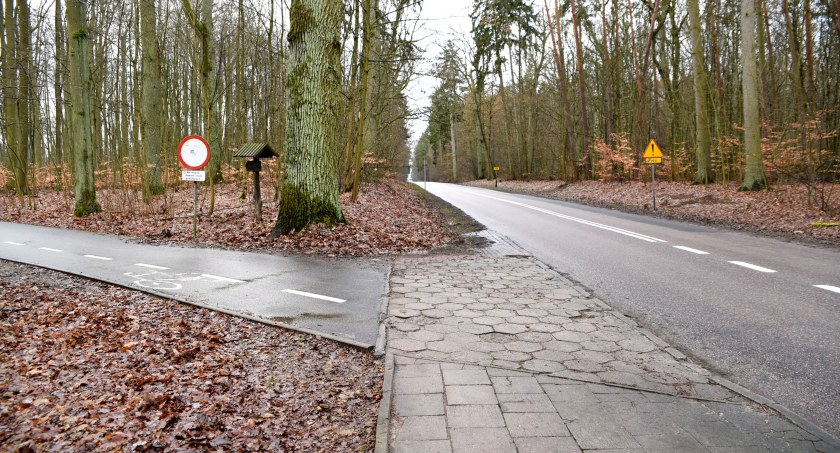 Co dalej ze ścieżką rowerową wzdłuż Zwierzyńca?