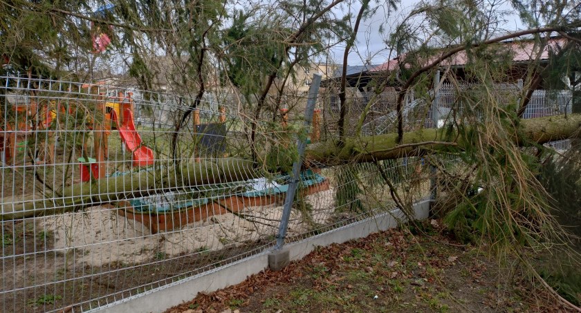 W Sypniewie drzewo spadło na plac zabaw