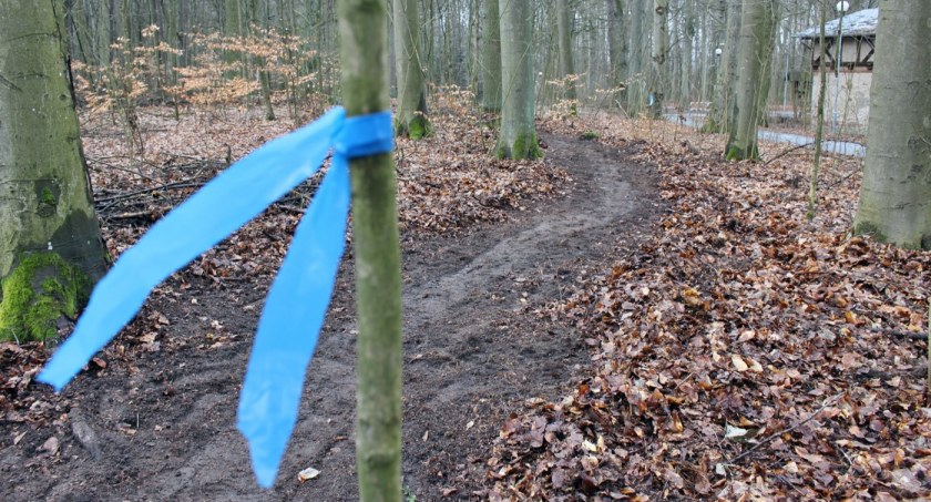 Wielkie sprzątanie singletrack Korba