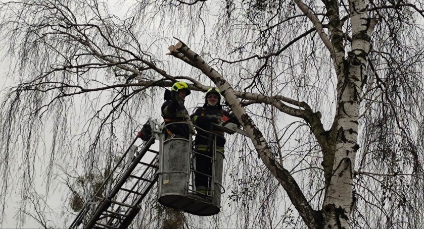 Wiosenne porządki strażaków z OSP Jastrowie