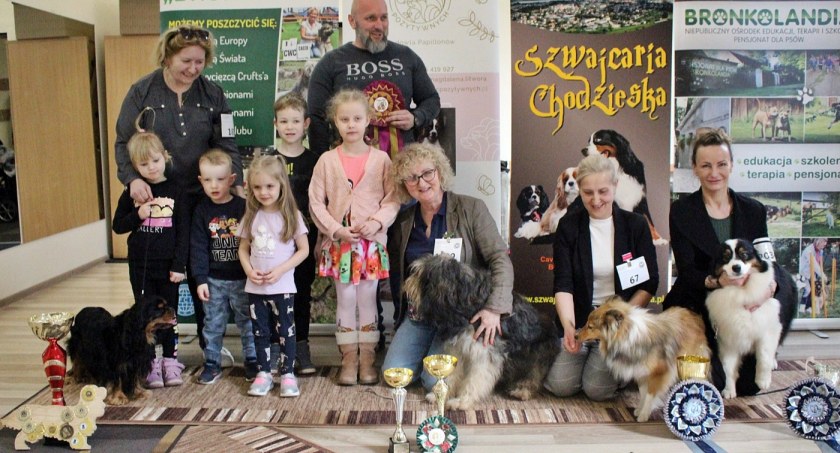 Wystawa psów rasowych w Krajeńskim Ośrodku Kultury