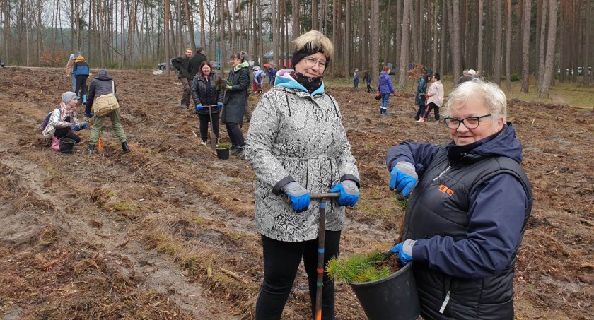Na styku gmin Krajenka, Tarnówka i Szydłowo, czyli akcja #sadziMY