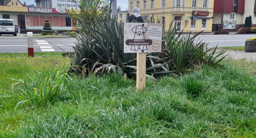 Jastrowie zachęca do sprzątania po swoich pupilach