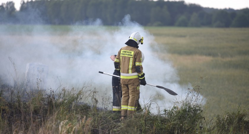 Pożar nasypu kolejowego koło Dolnika
