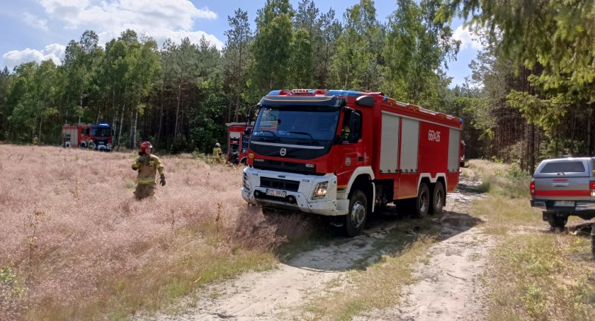 Pożar lasu. Na szczęście to tylko ćwiczenia