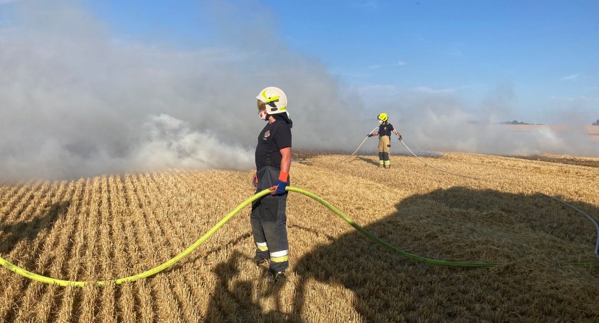 Pożar zboża na pniu w okolicach Łomczewa