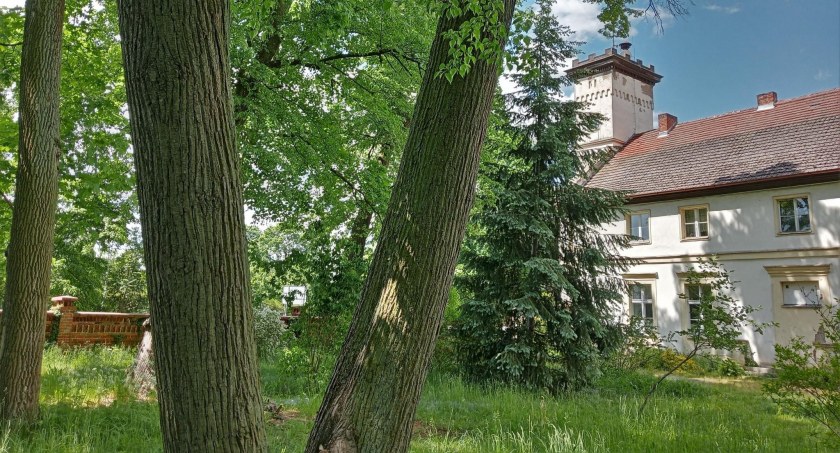 U Działyńskich, w Złotowie