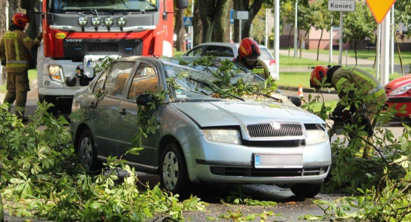 Fragment drzewa spadł na jadące auto na ul. Szpitalnej