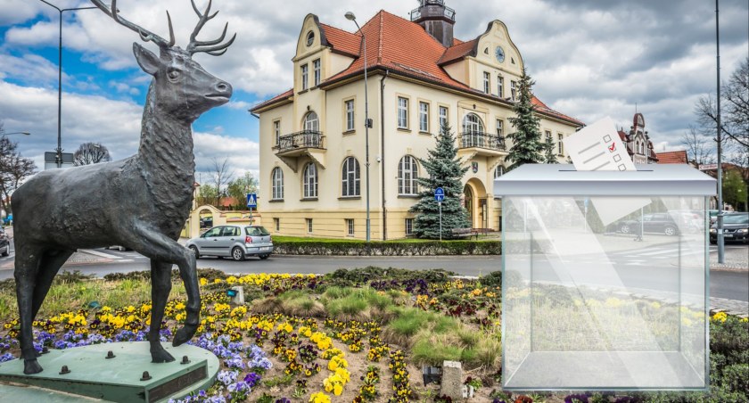 Nieważne, który projekt, ważne, żeby głosować