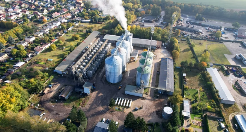 Kukurydziane żniwa kontra skargi mieszkańców Krajenki