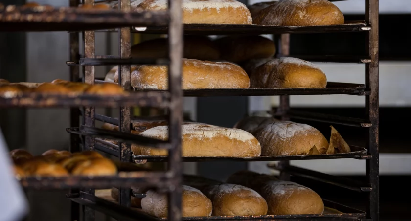 Praktyczne i stylowe rozwiązanie do przechowywania pieczywa- regał na pieczywo