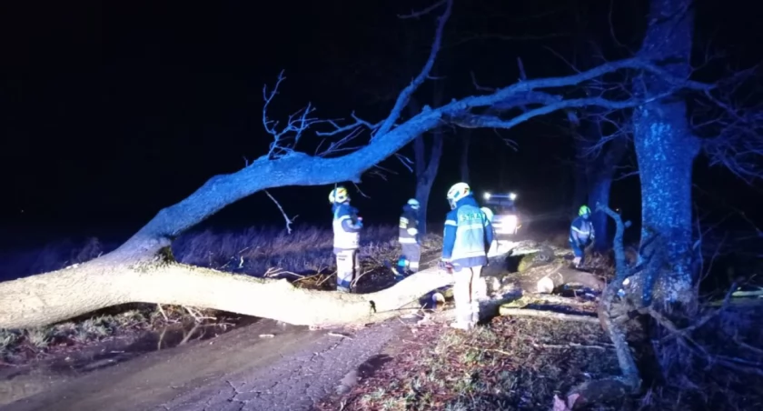 Interwencje strażaków w związku z silnym wiatrem i opadami deszczu ze śniegiem 