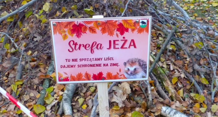 Specjalne strefy dla jeży 