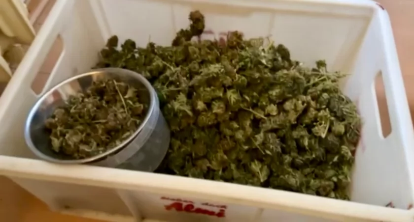 Ponad 6 kg marihuany nie trafi na czarny rynek