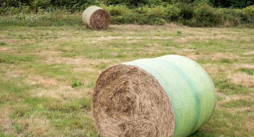 Najlepsze rozwiązanie dla skutecznego owijania bel - folia ochronna