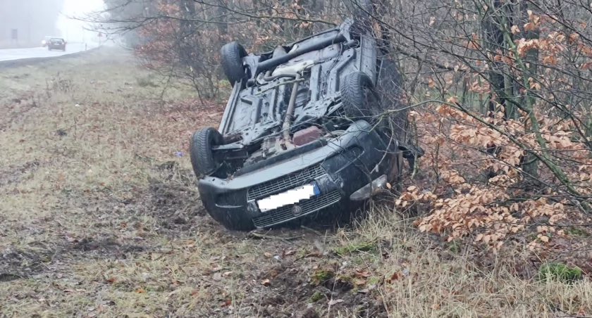 Dachowanie na DK11. Kierowca zasnął za kierownicą