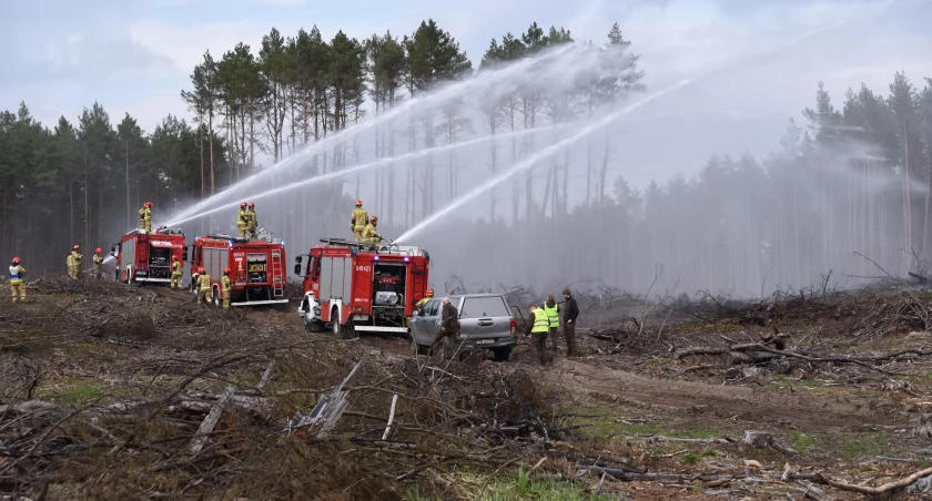 [WIDEO] Największe ćwiczenia strażaków w woj. wielkopolskim - trwają WRZOSY 2024