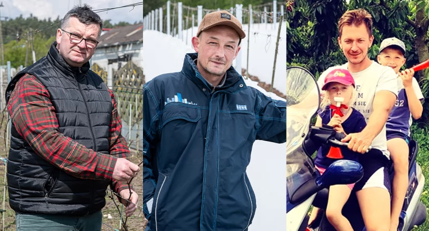 Przymrozki wykończyły uprawy
