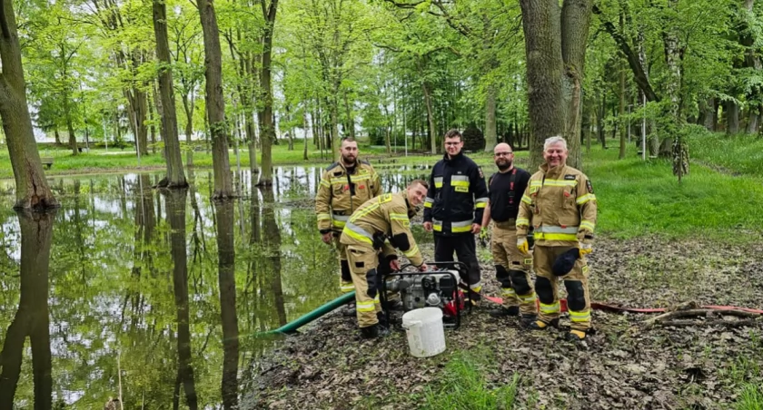 Strażacy wypompowali zalegającą w parku wodę