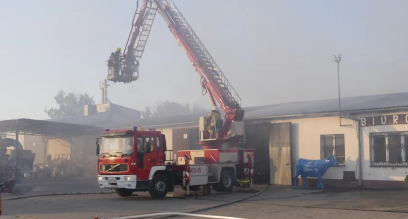 [WIDEO] Ogromny pożar w Zakrzewie