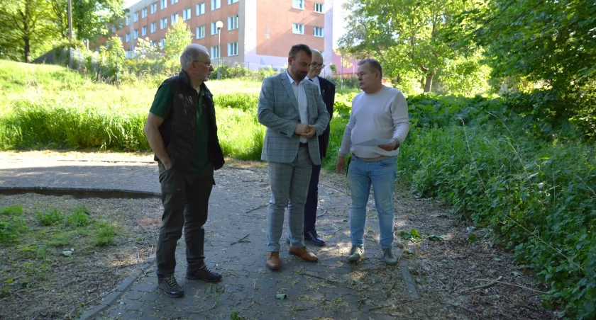 Spotkanie w sprawie zagospodarowania terenów zielonych przy krajeńskim amfiteatrze