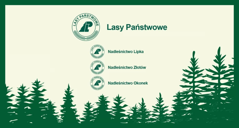 Ogłoszenie Lasów Państwowych