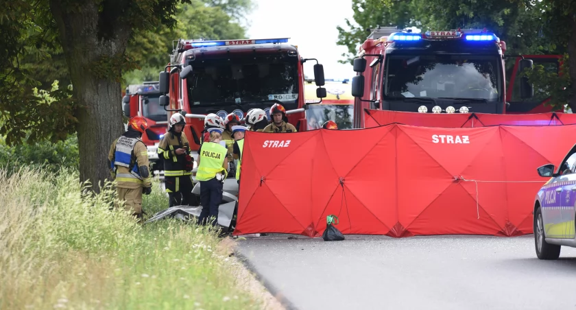 Śmiertelny wypadek na trasie Kleszczyna - Skic