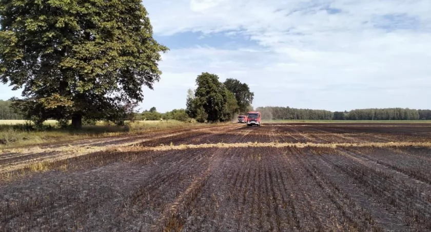 Pożar zboża w Nowej Wiśniewce. Jedna osoba poszkodowana