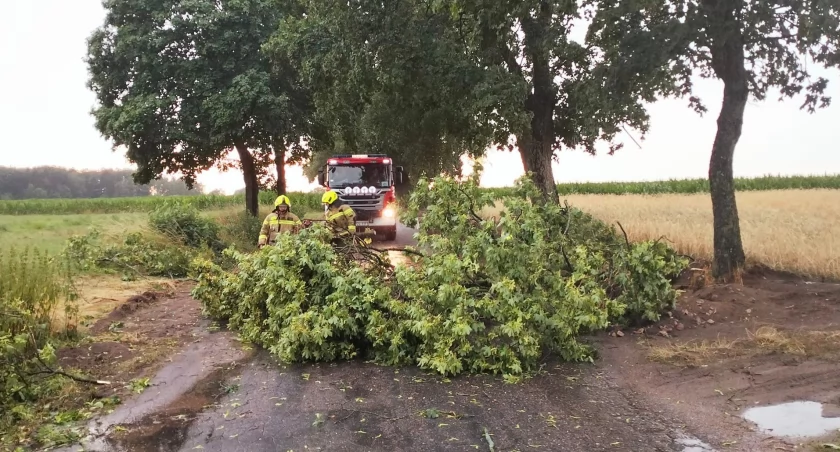 [WIDEO] 50 interwencji strażaków w związku z burzą