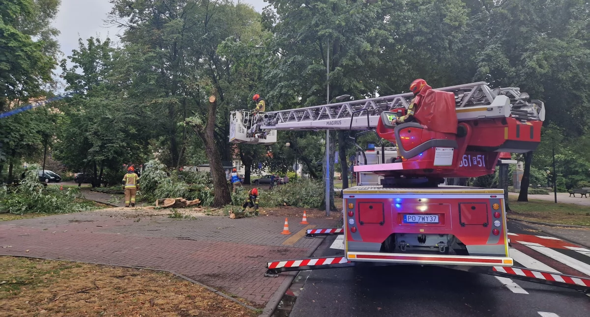 170 interwencji strażaków z powiatu złotowskiego