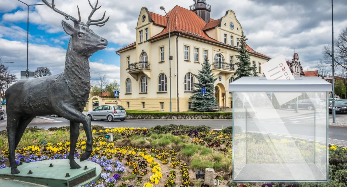 Kolejnego filmu z Budżetu Obywatelskiego nie będzie