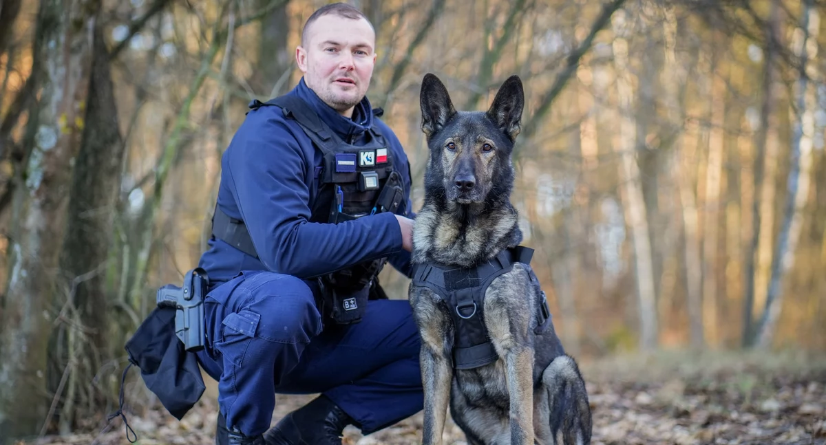 Pies doprowadził policjantów do zaginionego mężczyzny